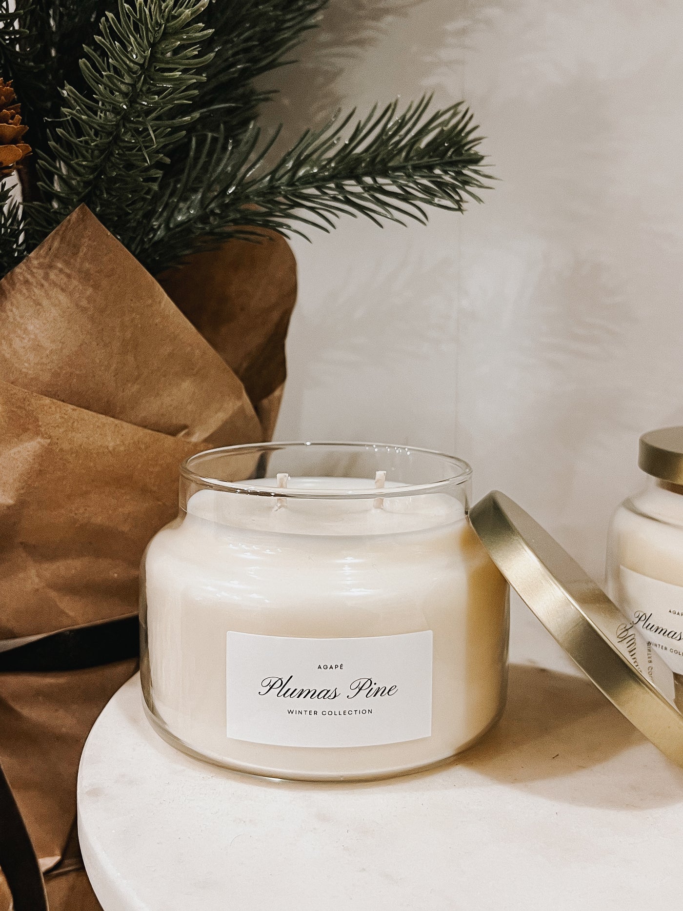 PLUMAS PINE CANDLE // 14 oz