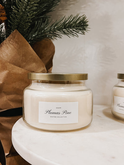 PLUMAS PINE CANDLE // 14 oz