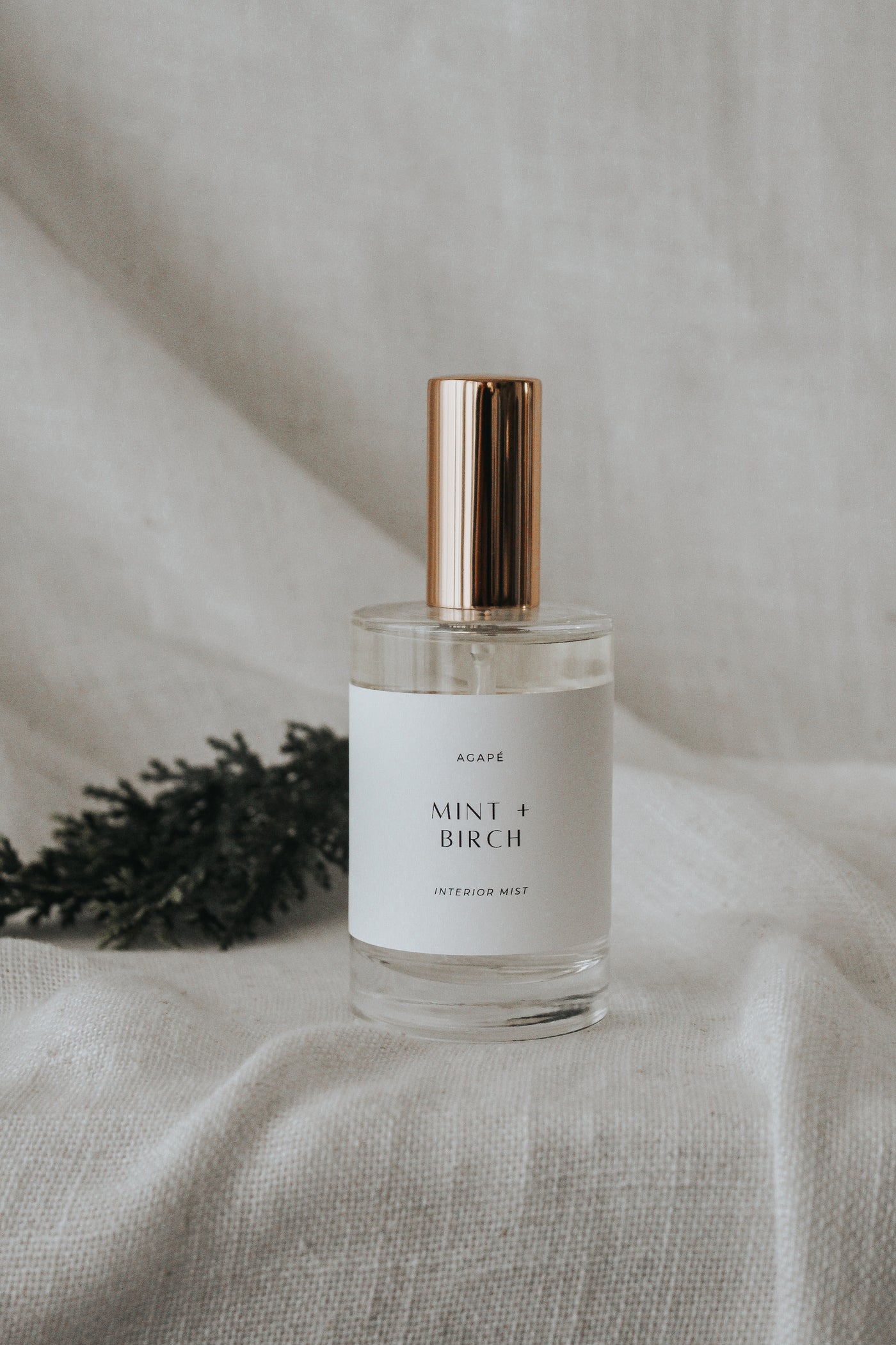 MINT + BIRCH INTERIOR MIST