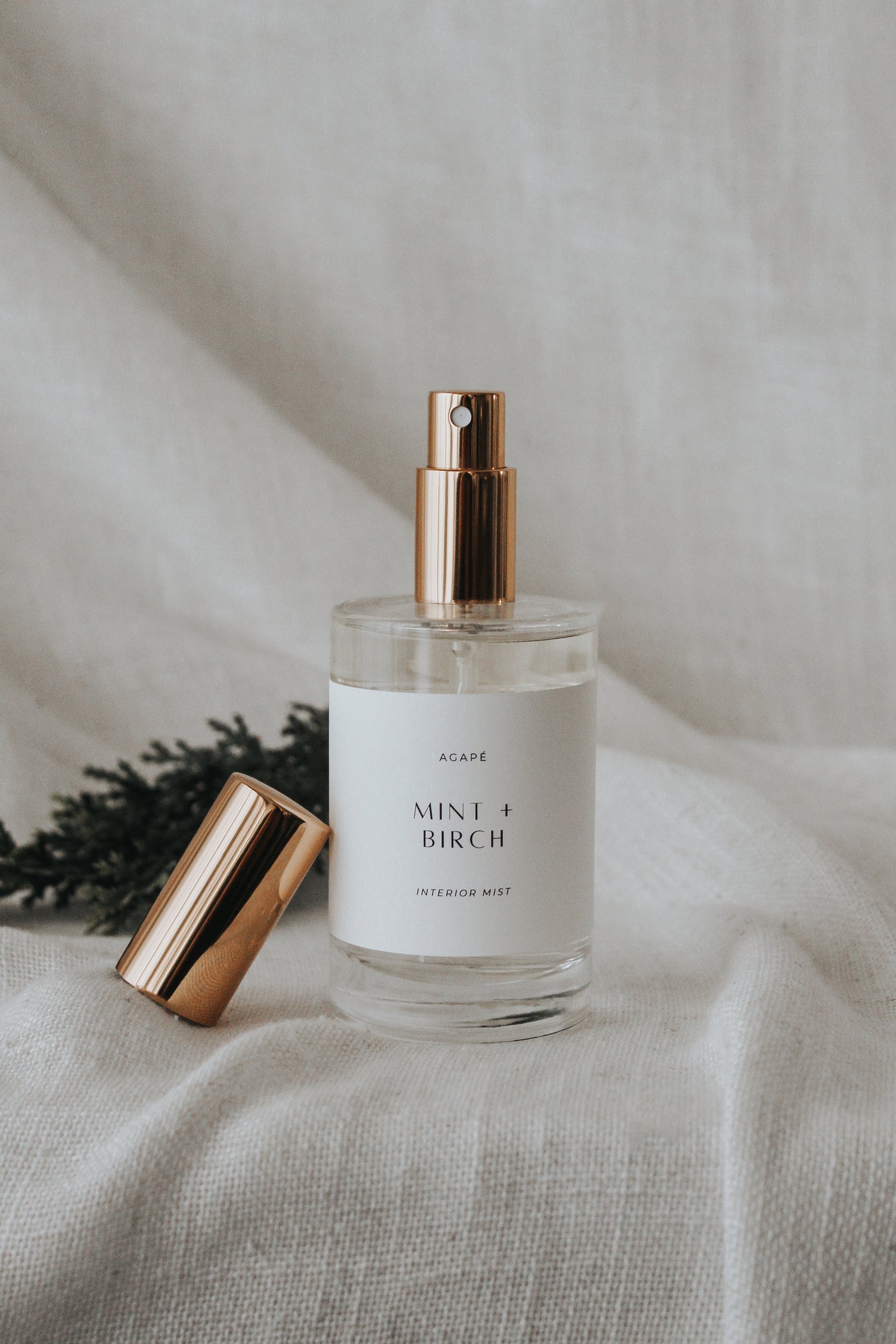 MINT + BIRCH INTERIOR MIST